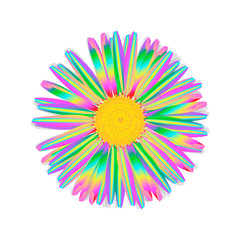 Obraz premium Beautiful chamomile flower isolated. Vector illustration. EPS 10