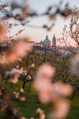 Morning in Prague