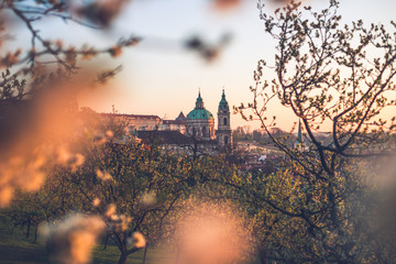 Morning in Prague