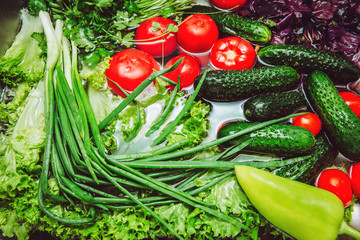 Fresh vegetables in water. Tomato, cucumber, greens, basil, green onions, parsley. Healthy food. Summer diet salad