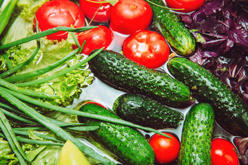 Fresh vegetables in water. Tomato, cucumber, greens, basil, green onions, parsley. Healthy food. Summer diet salad