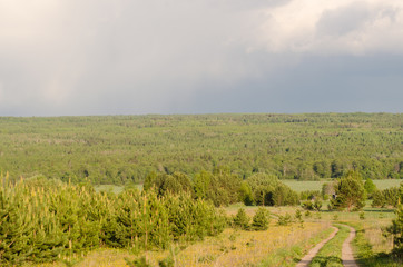 extensive forests, trees on the horizon and country road