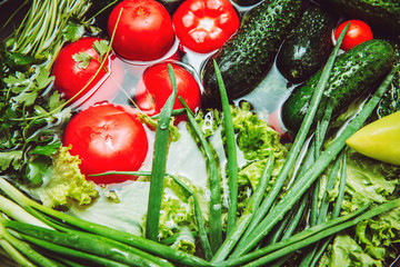 Fresh vegetables in water. Tomato, cucumber, greens, basil, green onions, parsley. Healthy food. Summer diet salad