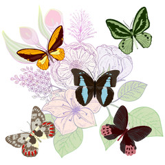 Fototapeta na wymiar Beautiful background with flowers and butterflies. Space for text. Vector illustration. EPS 10