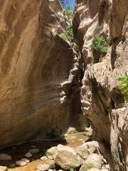 Avakas Gorge - canyon in Akamas, Cyprus, not far from Paphos