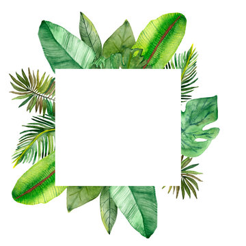 Watercolor hand painted nature squared frame with green jungle tropical leaves around the white background for invitations and greeting cards