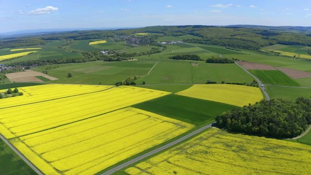 Aerial view, flight over agriculture with cereal fields and rapeseed cultivation, Sch&ouml;ffengrund, Schwalbach, Hochtaunuskreis, Hesse, Germany