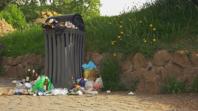 Trash spilling out of overfilled trash can, a full trash can in a public city park green grass, trees and flowers on the background