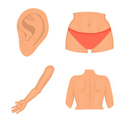 Vector design of body and part logo. Set of body and anatomy stock symbol for web.