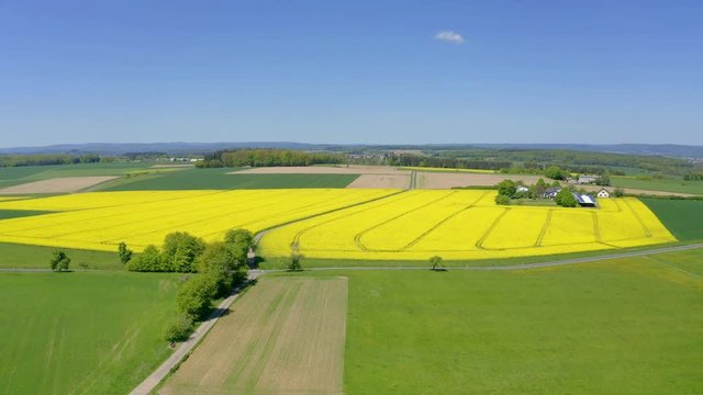 Aerial view, flight over agriculture with cereal fields and rapeseed cultivation, Sch&ouml;ffengrund, Schwalbach, Hochtaunuskreis, Hesse, Germany