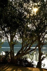 LAS BARCAS DE PESCA EN CORIA DEL RIO(Sevilla)