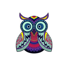 Vector illustration with the image of a stylized owl with an abstract pattern on a white background