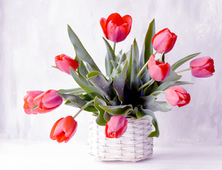 Art photo of a beautiful bouquet of tulips on a gray background.