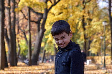 Very angry little boy looking at camera on autumn Park background among yellow leaves