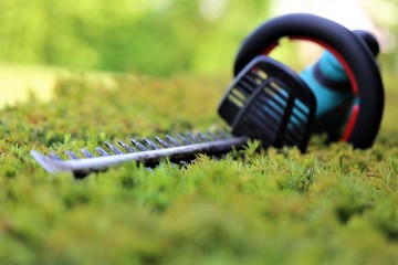watering can in the garden