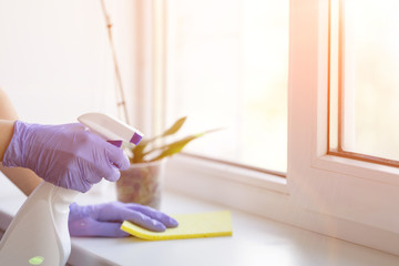 Woman cleaner in protective gloves is smiling and wiping dust using a spray and a duster while cleaning windowsill in house, close-up. washing windows. - Image       