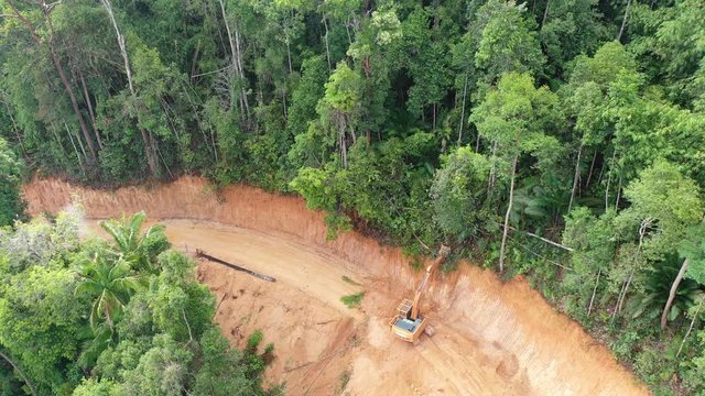 Logging. Aerial drone view of deforestation environmental problem.