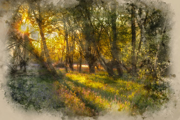 Obraz premium Watercolor painting of Stunning landscape image of bluebell forest in Spring