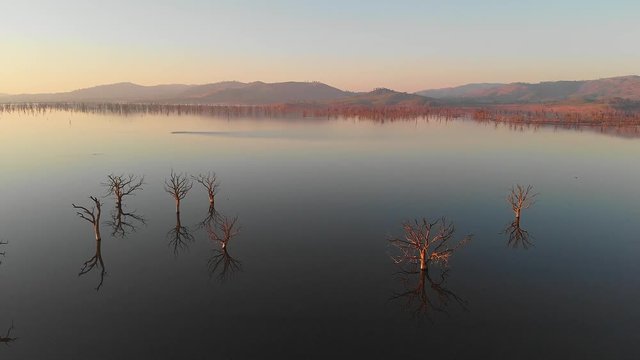 Smooth still lake at sunset showing wide vista with tree reflections. aerial drone footage. Hume Weir
