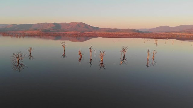 Smooth still lake at sunset showing wide vista with tree reflections. aerial drone footage. Hume Weir