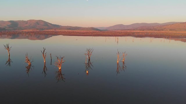 Smooth still lake at sunset showing wide vista with tree reflections. aerial drone footage. Hume Weir