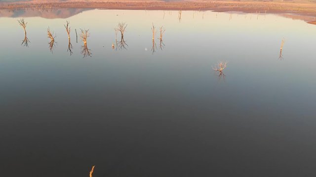 Smooth still lake at sunset showing wide vista with tree reflections. aerial drone footage. Hume Weir