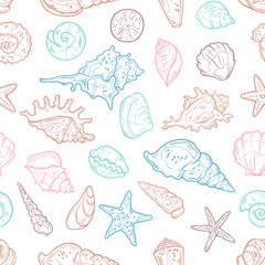 Vector sketching illustrations. Different types of seashells.