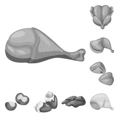 Vector illustration of cuisine and bird  sign. Set of cuisine and poultry stock vector illustration.