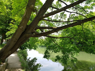 Balade le long de la Marne