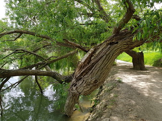 Balade le long de la Marne