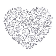 Vector sketching illustrations. Different types of seashells.