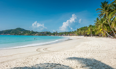 Tropical beach view with palms trees at Phangan island, Thailand
