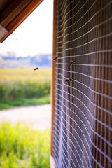 Insektenhotel im Biosphärenreservat Bliesgau im Saarland, Deutschland