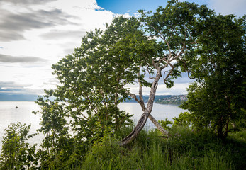 View of landscapes of Avacha Bay, Petropavlovsk Kamchatsky
