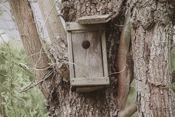 Vogelhaus in einer Weide im Frühling