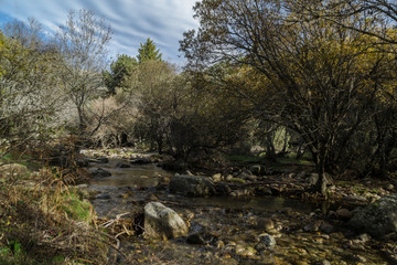 Fototapeta premium Rivers and streams of water. The Pedriza. Madrid's community. Spain.