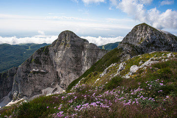 paesaggio primaverile