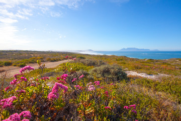 Fototapeta premium Table Mountain, Veiws.