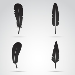 Feather vector icon. 