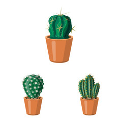 Vector design of cactus and pot logo. Set of cactus and cacti stock vector illustration.