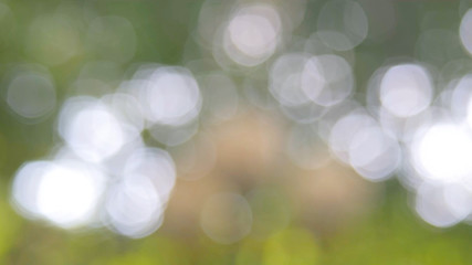 Defocused abstract nature background with green leaves and bokeh lights. Royalty high-quality free stock  photo image of natural blurred bokeh background from leaf and tree effects bokeh bubble light