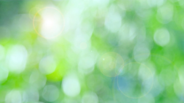Nature green bokeh sun light flare and blur leaf abstract texture background, blurred natural green leaves white background. stock image of bokeh light from the sun through the leaves with copy space