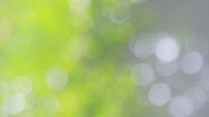 Obraz premium Defocused abstract nature background yellow leaves and bokeh lights. Royalty high-quality free stock image of natural blurred bokeh background from leaf with copyspace for text advertising design