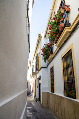 花で飾られたバルコニー／Cordoba, Spain