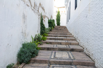 Fototapeta na wymiar 街中の階段
