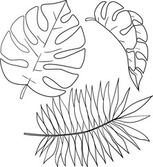 Vector contour illustration with tropical leaves on white background. Good for printing. Logo and postcard elements. Coloring book.
