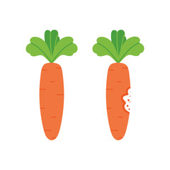 Two cute cartoon style fresh carrots, whole and with teeth bite mark.