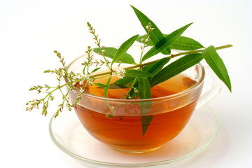 Lemon verbena infusion. Lippia citriodora.