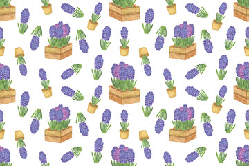 Hand drawn botanical watercolor illustration, isolated object on the white background, floral illustration, flower pot with a flower, watercolor illustration of a decorative plant