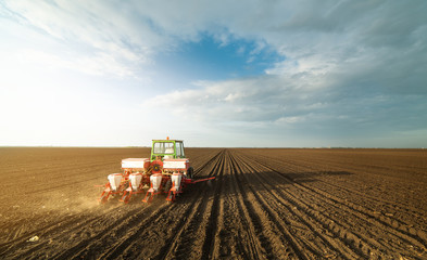 Fototapeta premium Farmer with tractor seeding soy crops at agricultural field